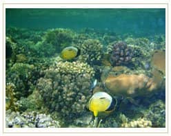 Slider image (9) PrimaDent Dental Center